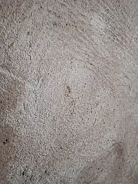 Wersonsantos's cam snapshot