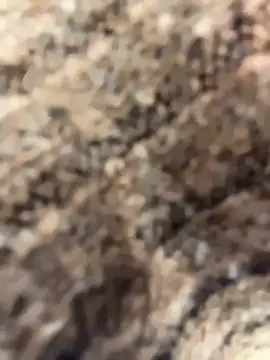 MiraReach's cam snapshot