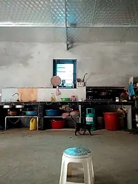 sushi-asa's cam snapshot