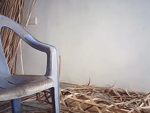 melamai's cam snapshot