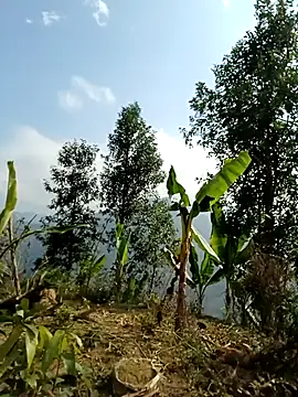 sushi-asa's cam snapshot