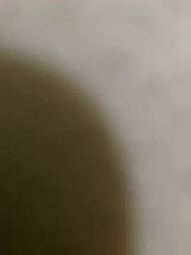 Pabloescobar2356's cam snapshot