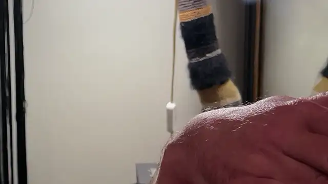 piguezag live sex cam