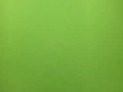 tachala_ live sex cam