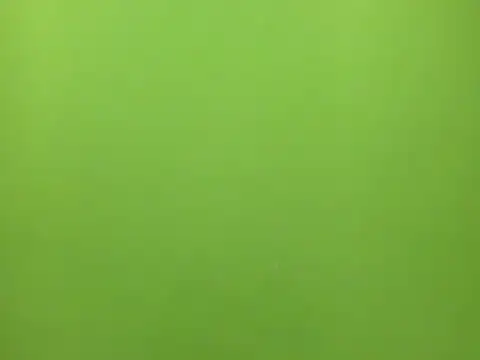 tachala_'s cam snapshot