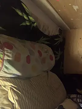 bugboy's cam snapshot