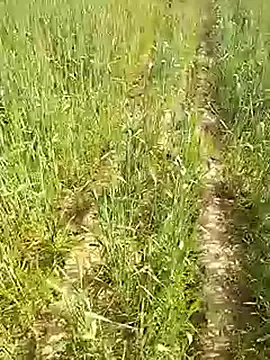 hornycouple20000's cam snapshot