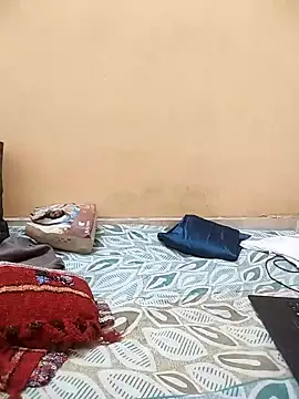 meenu_bhabhi547's cam snapshot