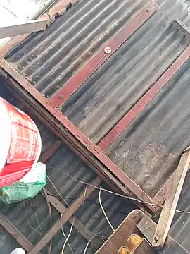 dasicapall's cam snapshot