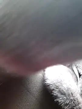 stacy_stoone live sex cam