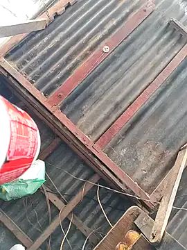 dasicapall's cam snapshot