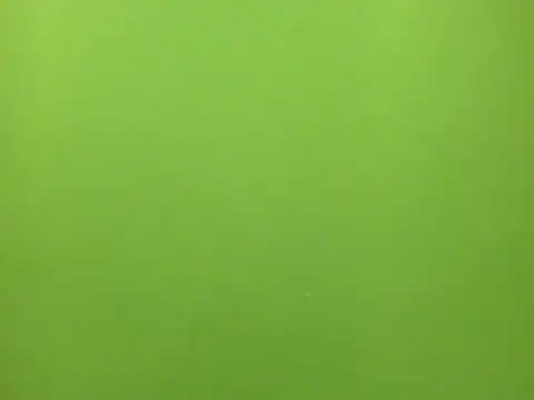 tachala_ live sex cam