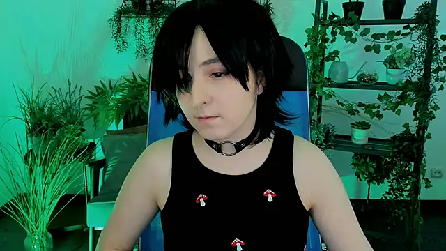 VirtuallVoyant's cam snapshot