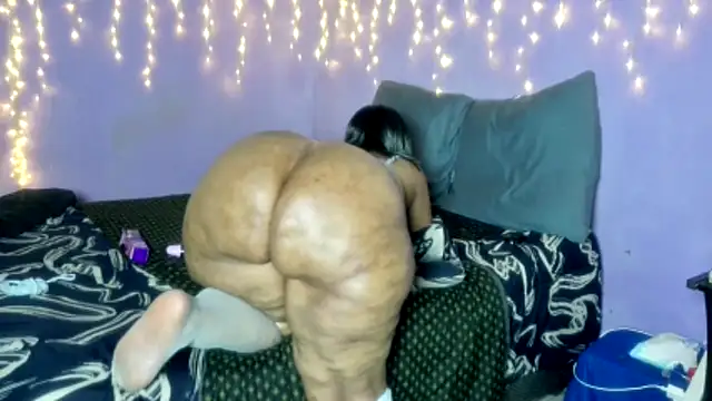 wilmaassylum's cam snapshot