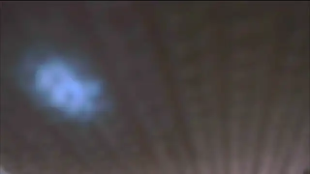 Sweet_Allan live sex cam