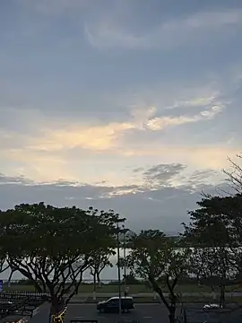 mailex99 live sex cam