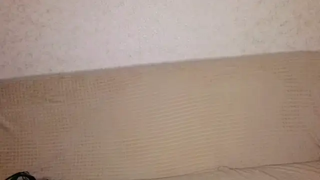 ModestLily's cam snapshot