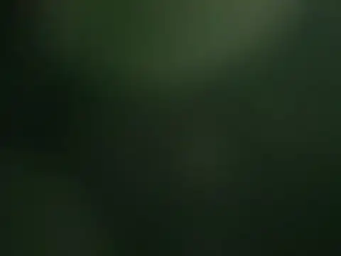 bomvemcam live sex cam