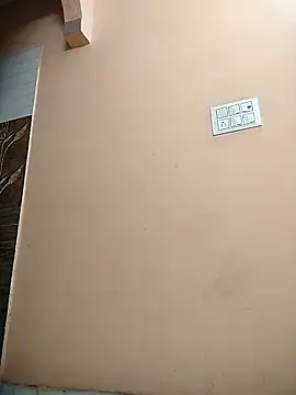 meenu_bhabhi547's cam snapshot