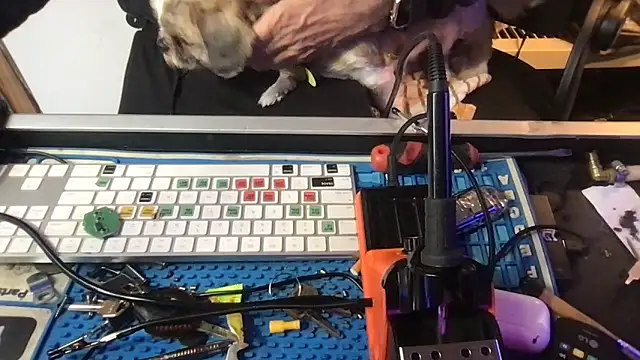 SinlessFreedom7 live sex cam