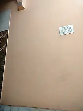 meenu_bhabhi547's cam snapshot