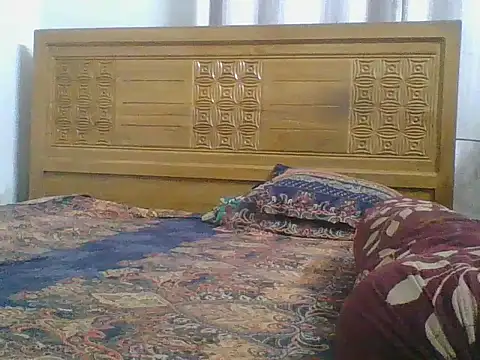 Heartline's cam snapshot