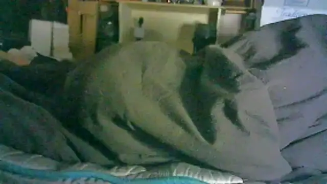 ON3YOULLN3VER_FIR3's cam snapshot