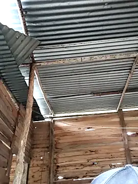 tayson_ live sex cam