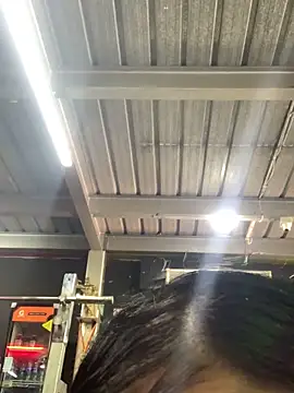 Dannii- live sex cam