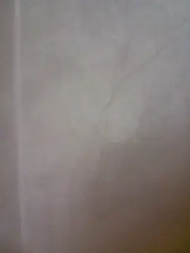 bullut06's cam snapshot