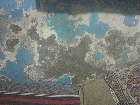 Shrikz99's cam snapshot