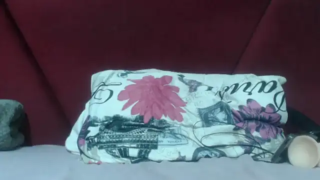 Bracylia's cam snapshot