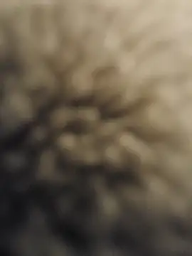 Karine0806's cam snapshot