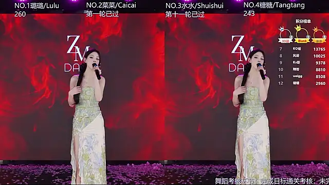 SK-001's cam snapshot