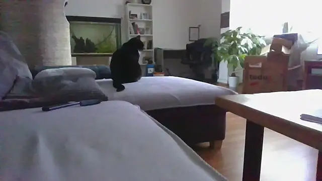 Kevoon991's cam snapshot