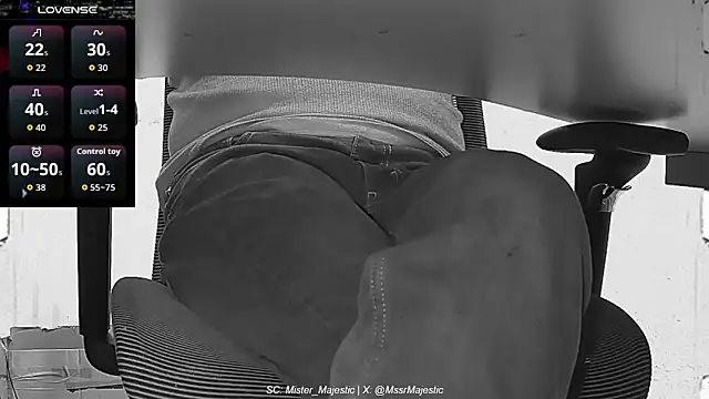 Mister_Majestic's cam snapshot