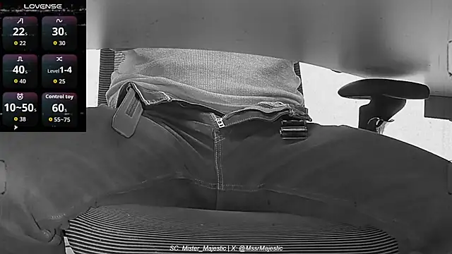 Mister_Majestic's cam snapshot