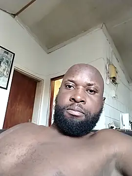 Stallion100 live sex cam