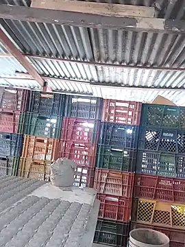 hoteder live sex cam