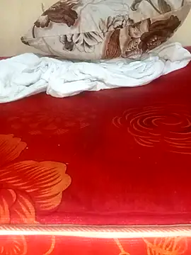 076503's cam snapshot