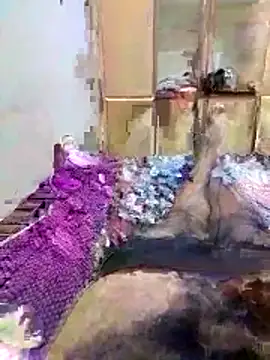 janu_9900 live sex cam