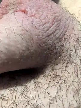 DandyPanfish live sex cam