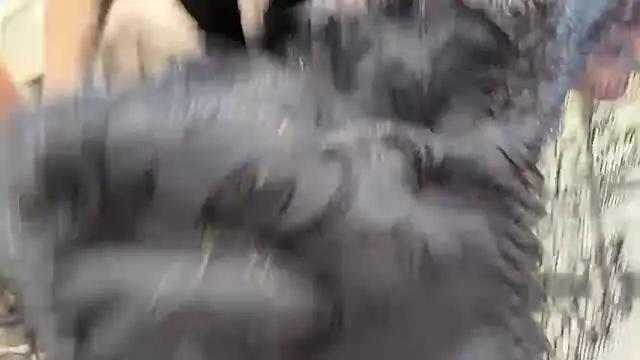 JP-NAO's cam snapshot