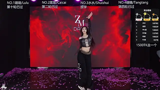 SK-001's cam snapshot