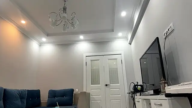 SupremeDividend's cam snapshot