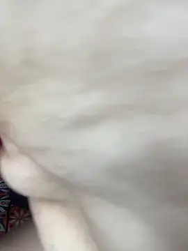 Nadia-melej live sex cam