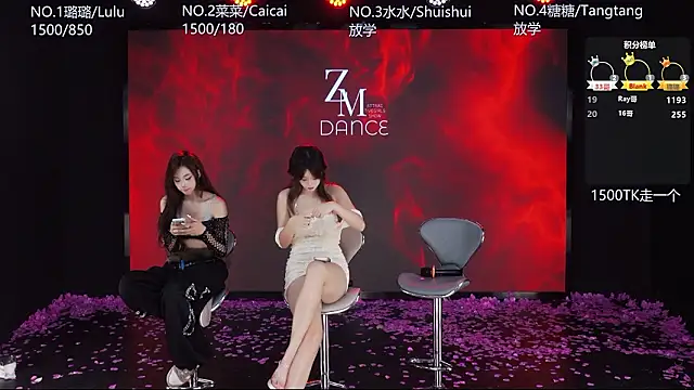 SK-001's cam snapshot