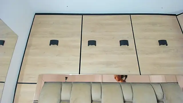 karol_lewiss's cam snapshot