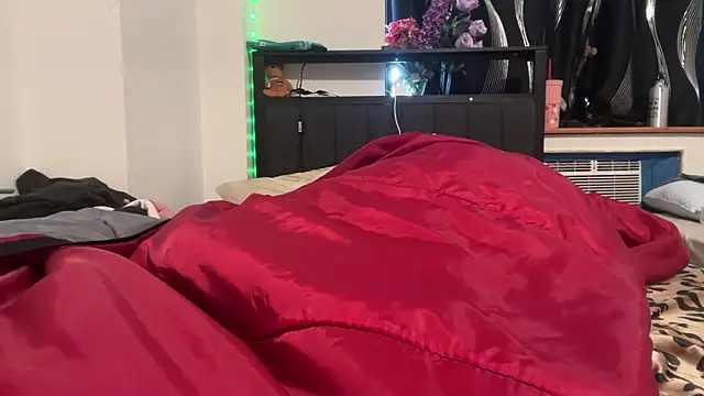 tinydaisy21's cam snapshot