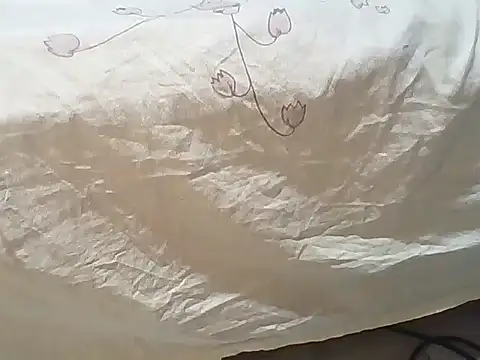 nkosenhle112's cam snapshot